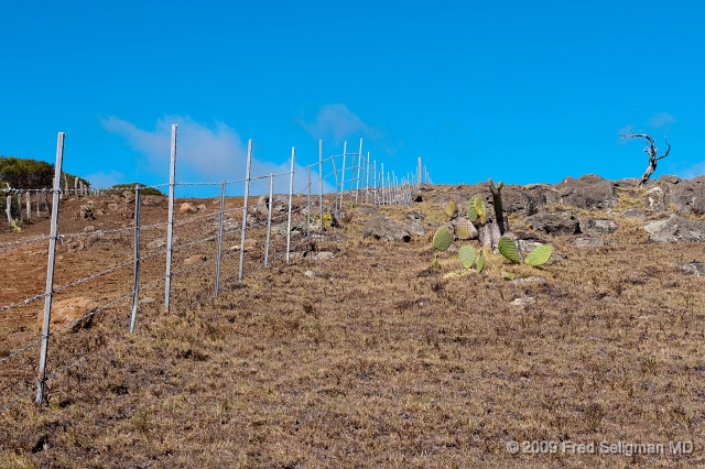 20091101_141323 D300.jpg - Topography along Kohala Mountain Road